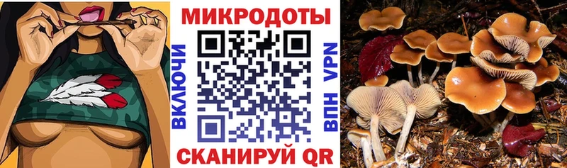 Псилоцибиновые грибы Magic Shrooms Красноперекопск